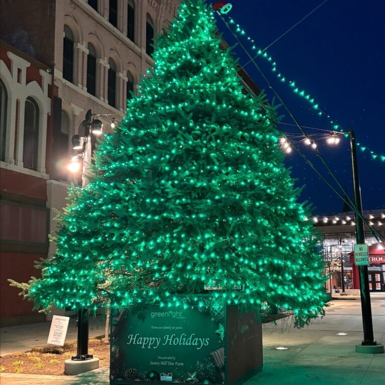 Binghamton Tree Greenlight 2025
