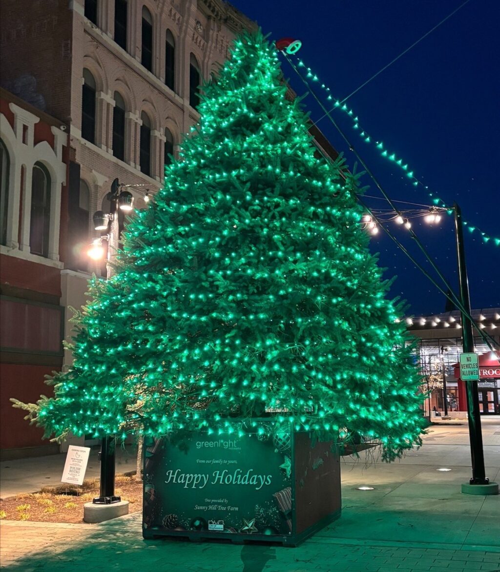 Binghamton Tree Greenlight 2025
