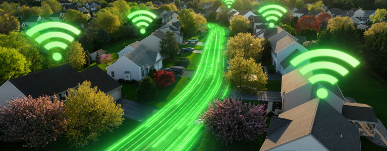 Fiber Neighborhood Image Green