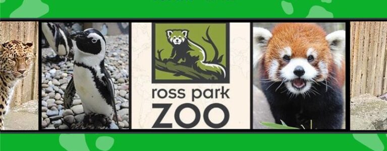 Ross Park Zoo Square 10-2025 (1) Ross Park Zoo Square 10-2025 (1)