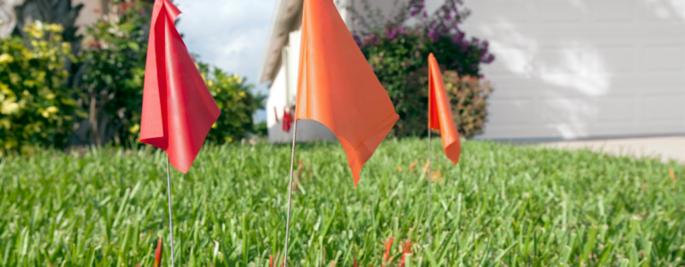 Utility Flags